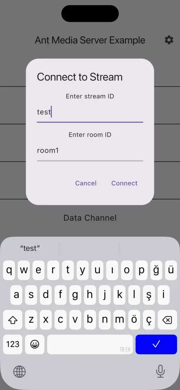 Flutter conference screen on iPhone with Stream ID iphone and Room ID demo entered before connecting to Ant Media Server